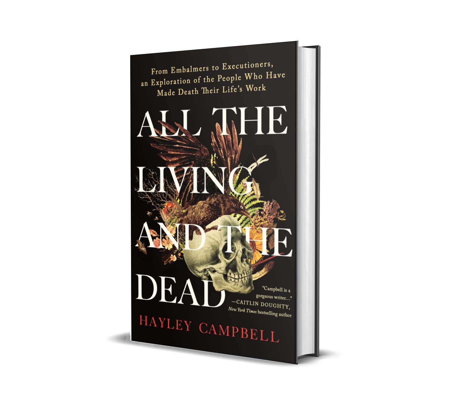 book-review-all-the-living-and-the-dead-by-hayley-campbell-sincerely