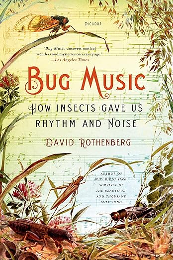 Bug Music cover