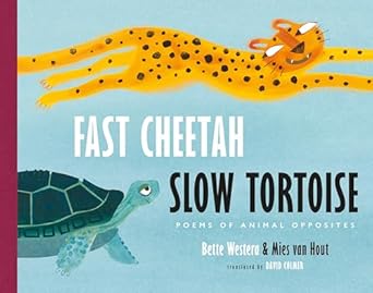 Fast Cheetah Slow Tortoise