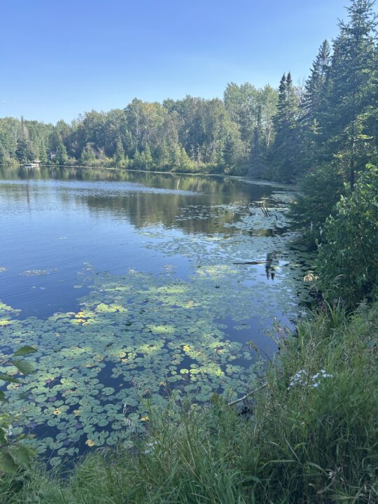 Big Bog State Park pond