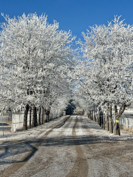 Colorado Street