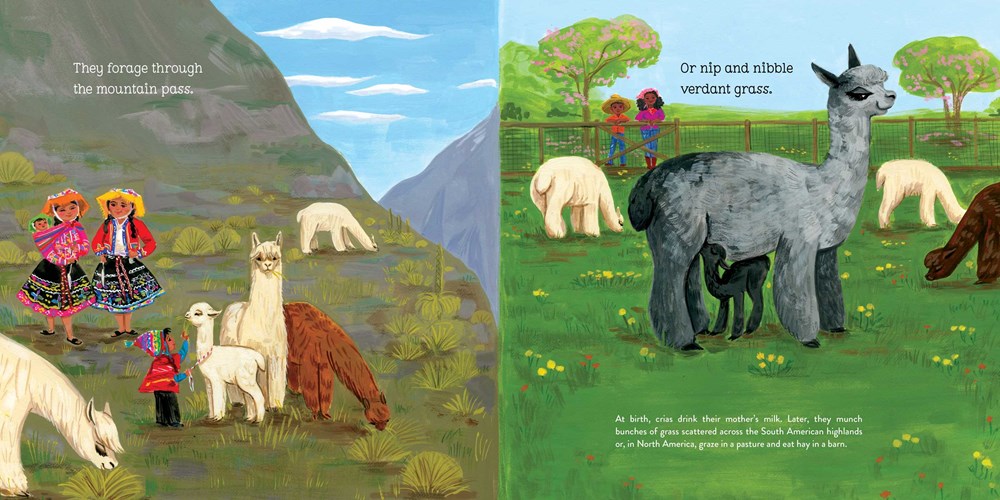 Alpacas Here Alpacas There page 5