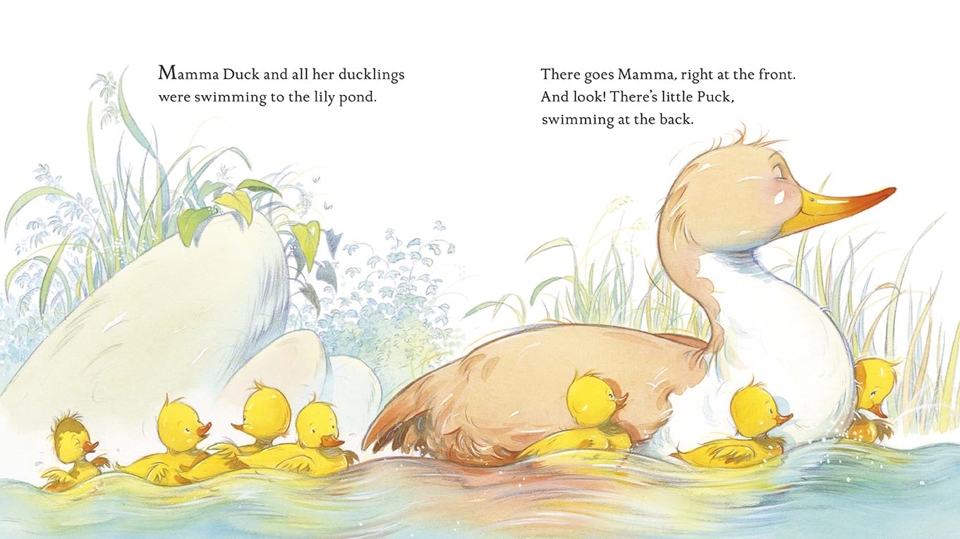 Children's Book Review: Keep Up, Duck! by Ivan and Rachel Bates ...