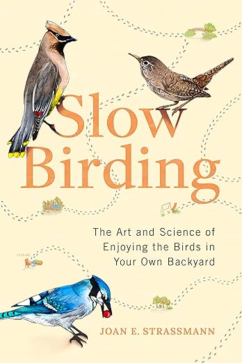 Slow Birding cover