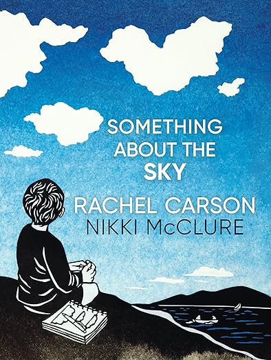 Something about the Sky cover