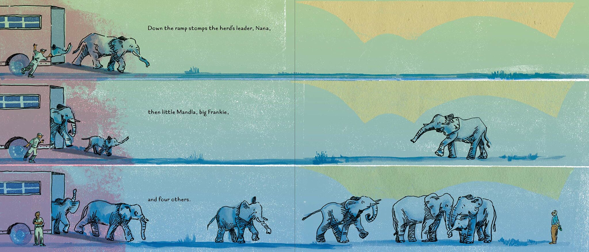 Children's Book Review: The Elephants Come Home by Kim Tomsic