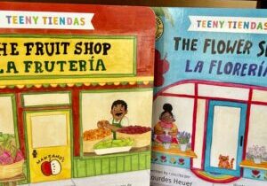 Teeny Tiendas board book series